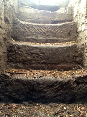 Cellar steps